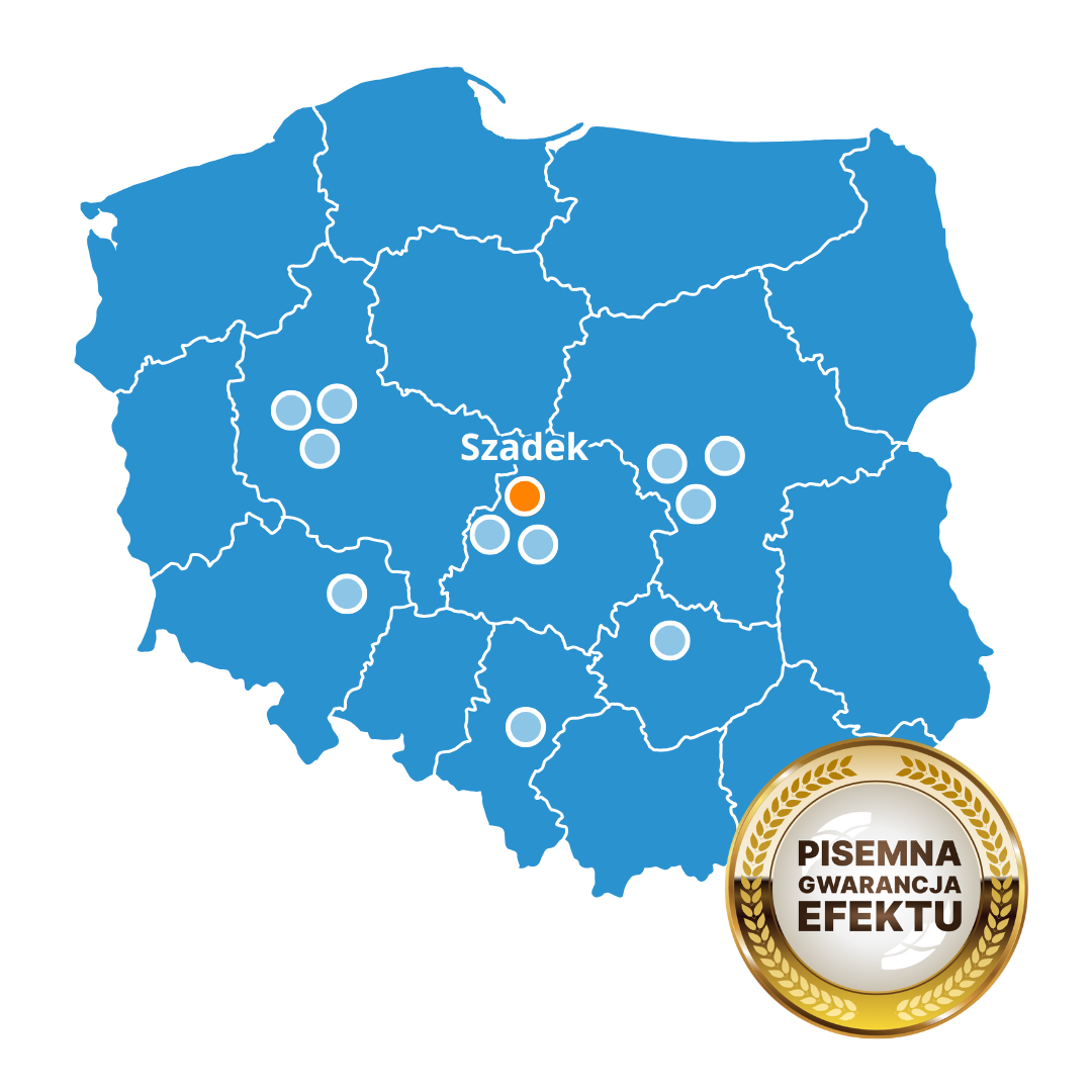 Best Brain Szadek