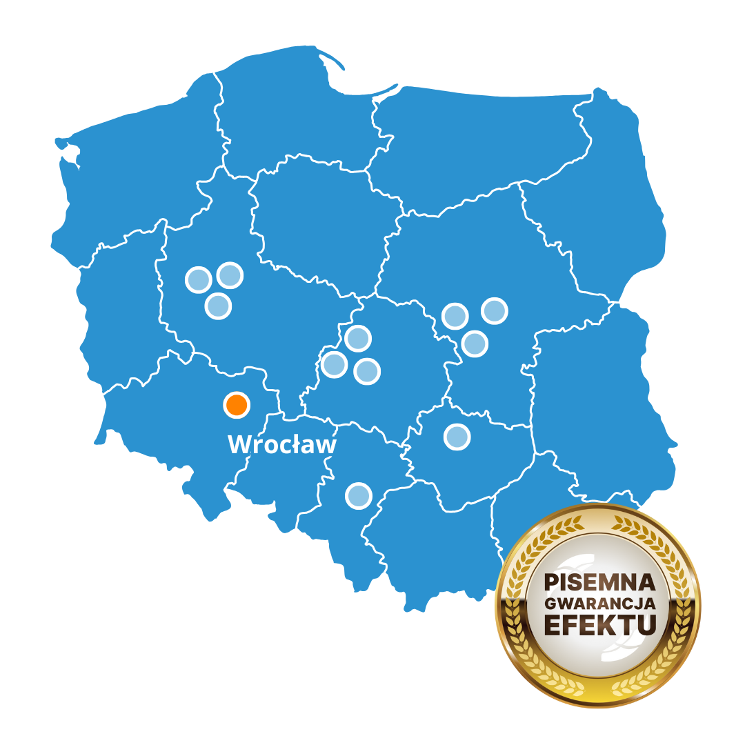 Best Brain Wrocław