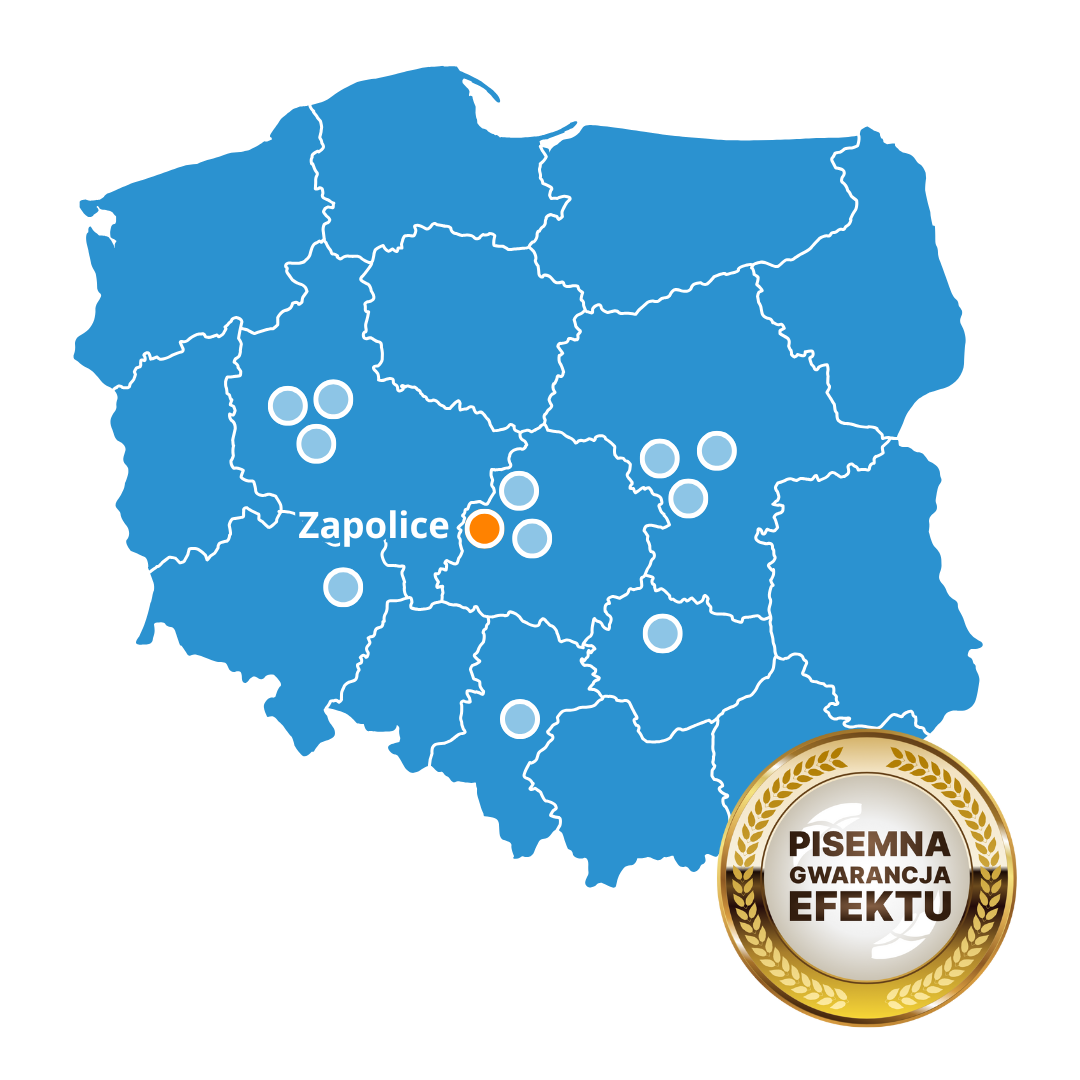 Best Brain Zapolice