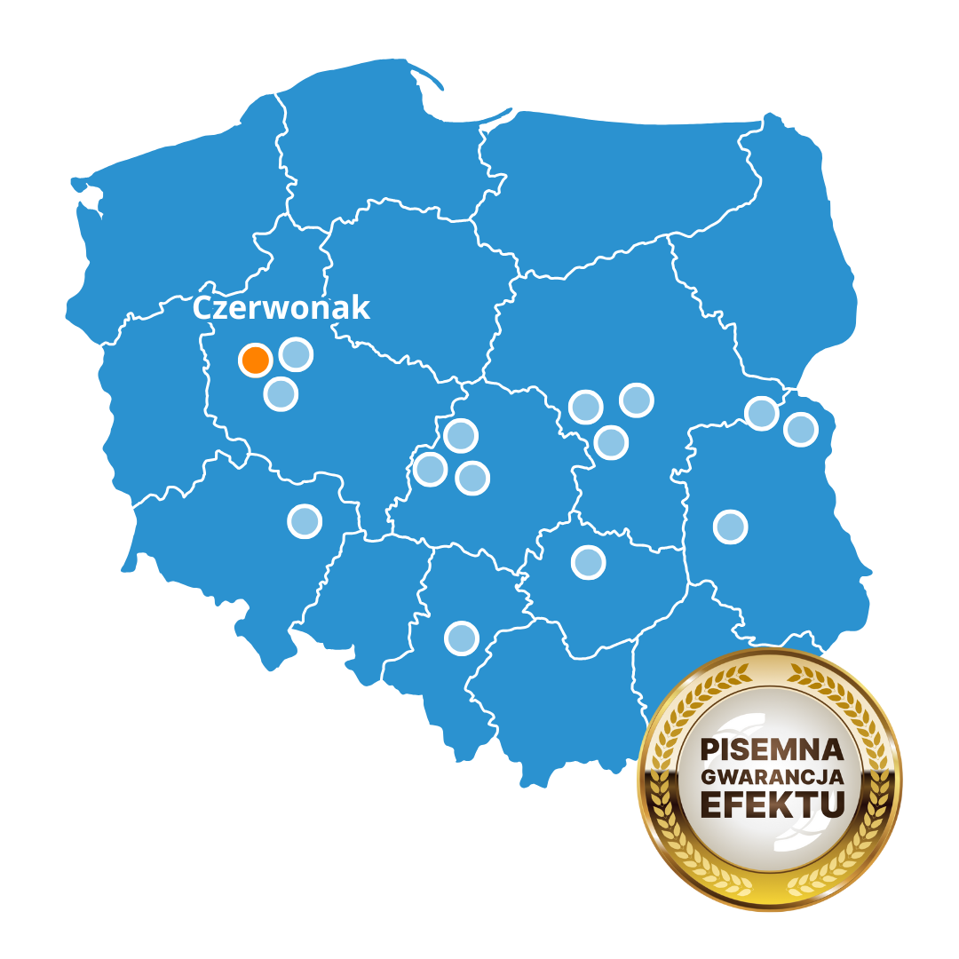 Best Brain Czerwonak