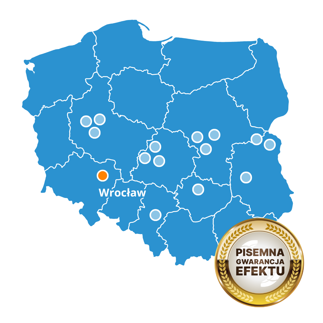 Best Brain Wrocław